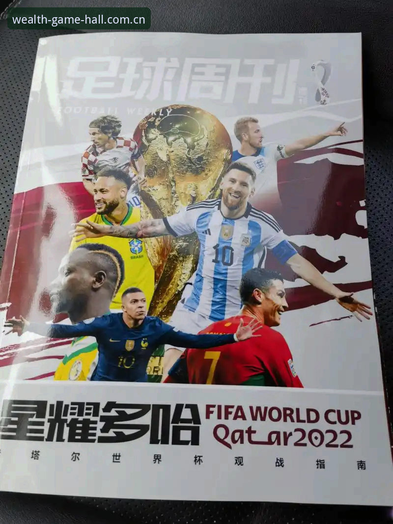世界杯观赛签证困境背后的赛事信息获取完整指南
